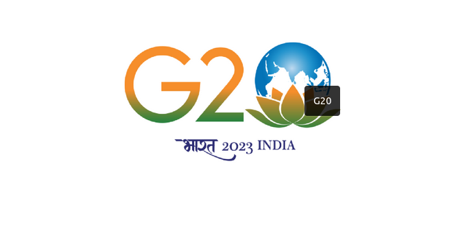 G20